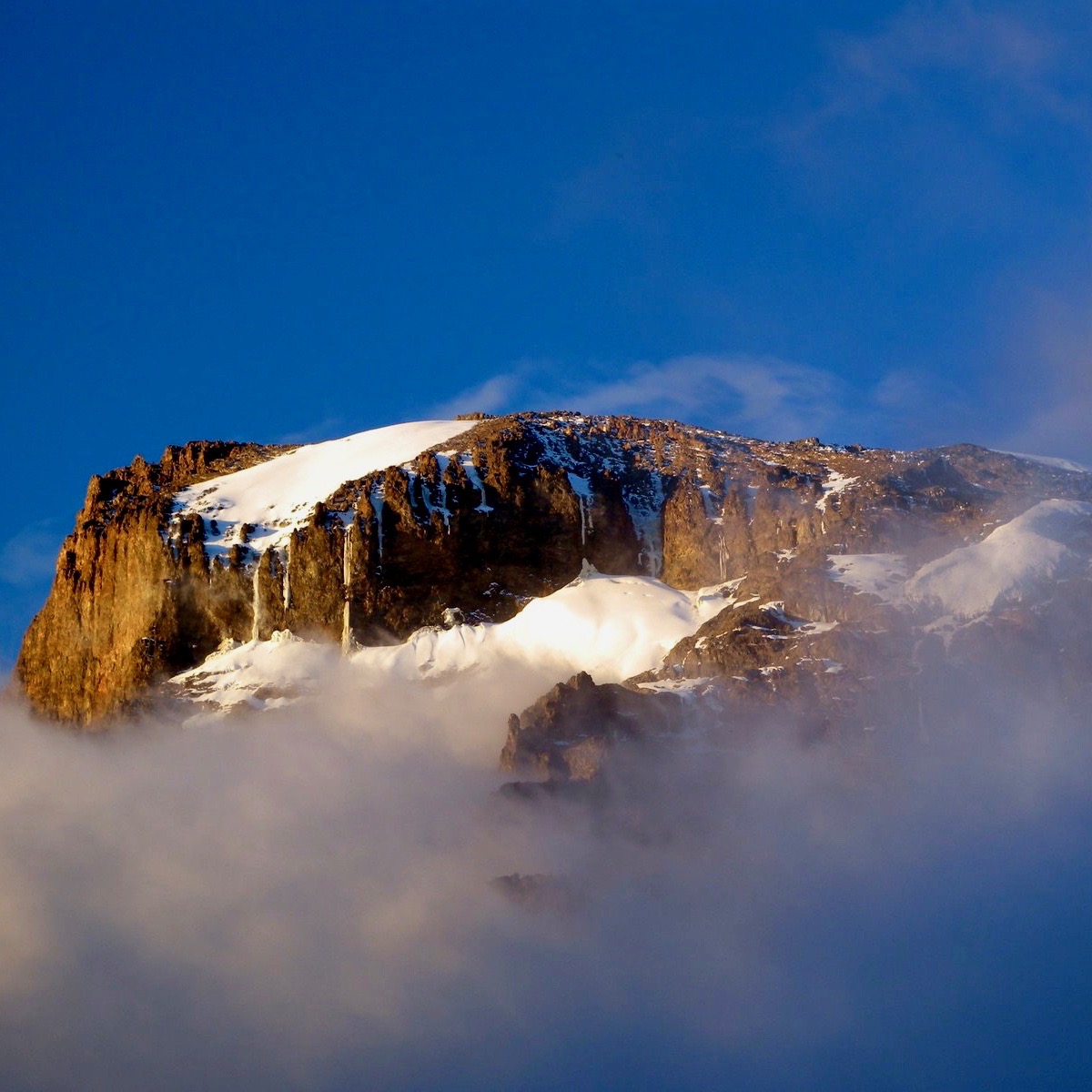 The summit of Mt. Kilimanjaro rises above the mist to a crisp blue sky.  The rocky face is brown in color with large patches of snow draped over the various cliffs.  This vantage point is halfway up the mountain climb to the top. 