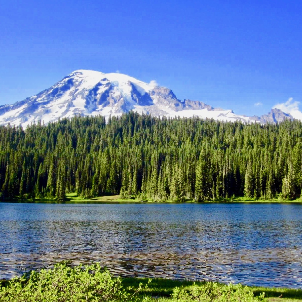 Mt. Rainier photo taken from the bank of a peaceful lake surrounded by a rich fir tree forest.  The majestic mountain rises up with an inspiring spirit in the background, the giant faces of rock covered by patches of glaciers and snow.  The sky is blue on this sunny day. 