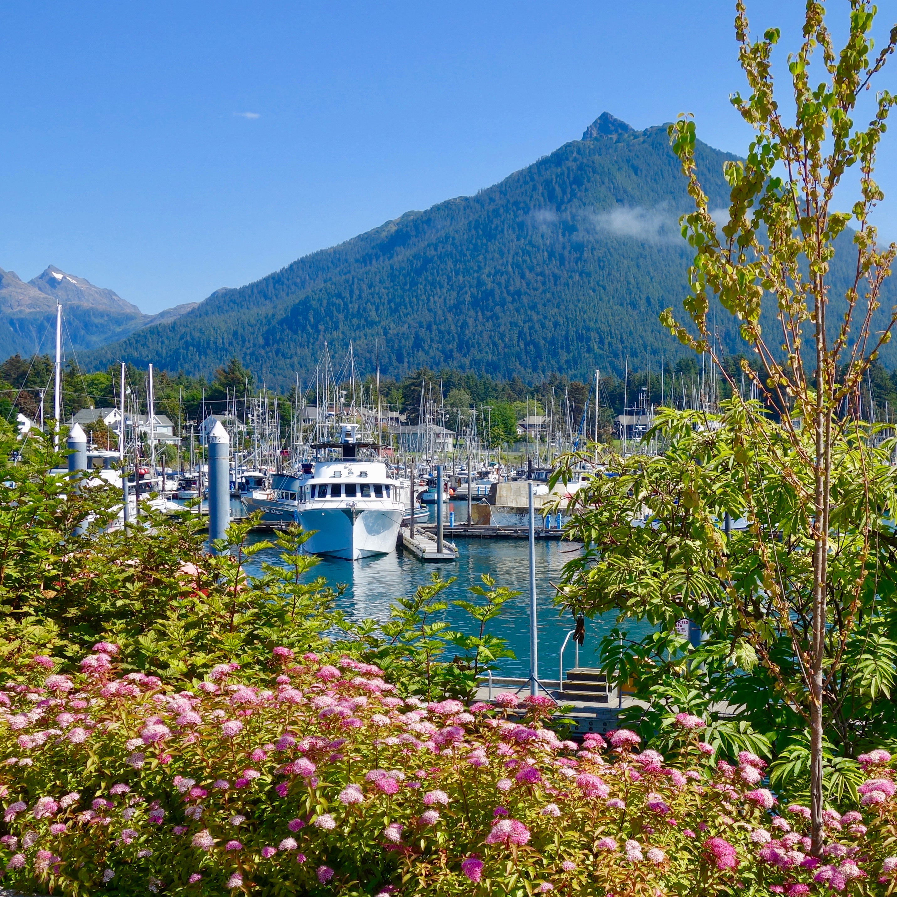 Sitka has a number of different harbors in every direction, including a cruise terminal which is about 6 miles from the main city.  