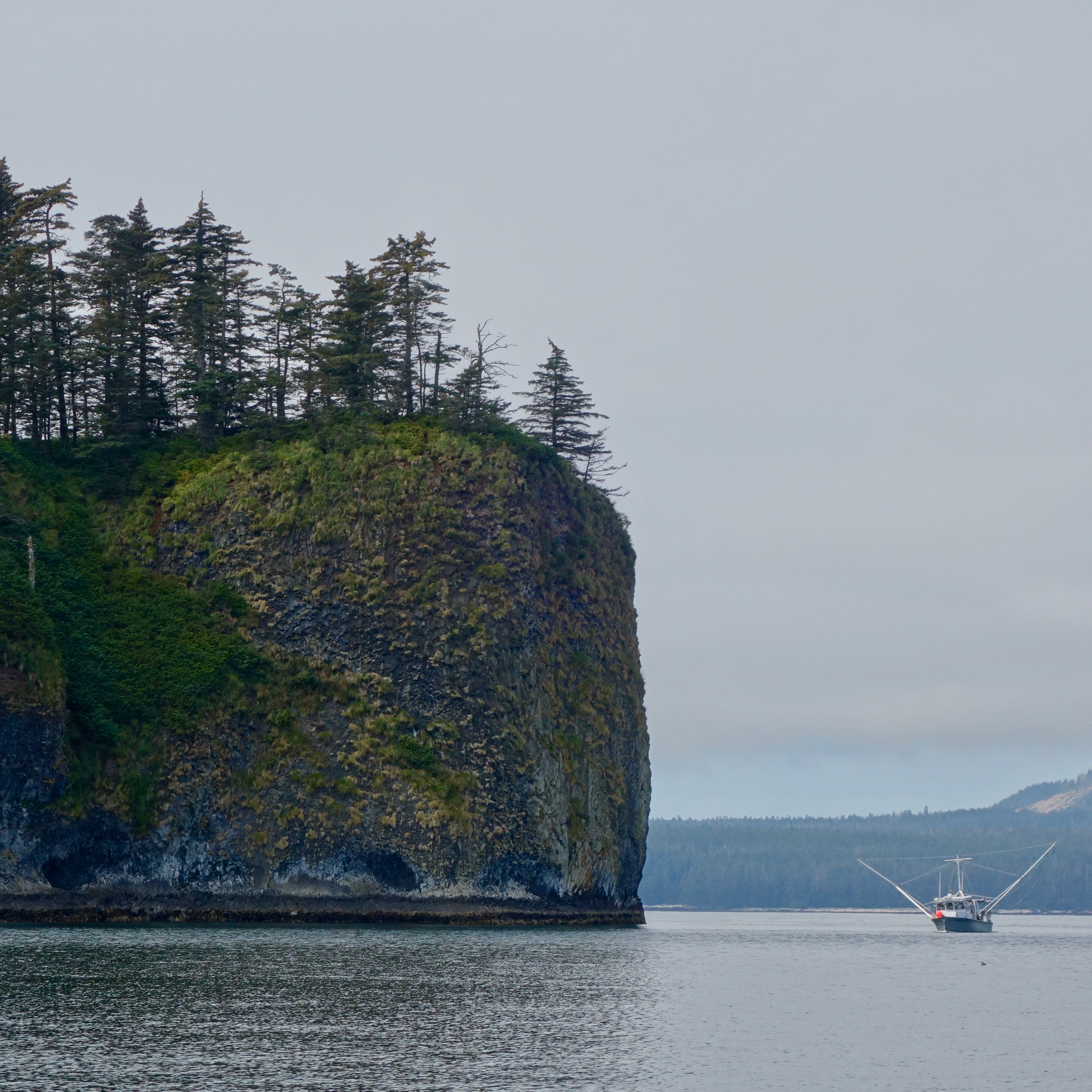 The sharp cliffs of St. Lazaria Wildlife Refuge are impressive.  Humans are not allowed on this island, also known as "Puffin Island."