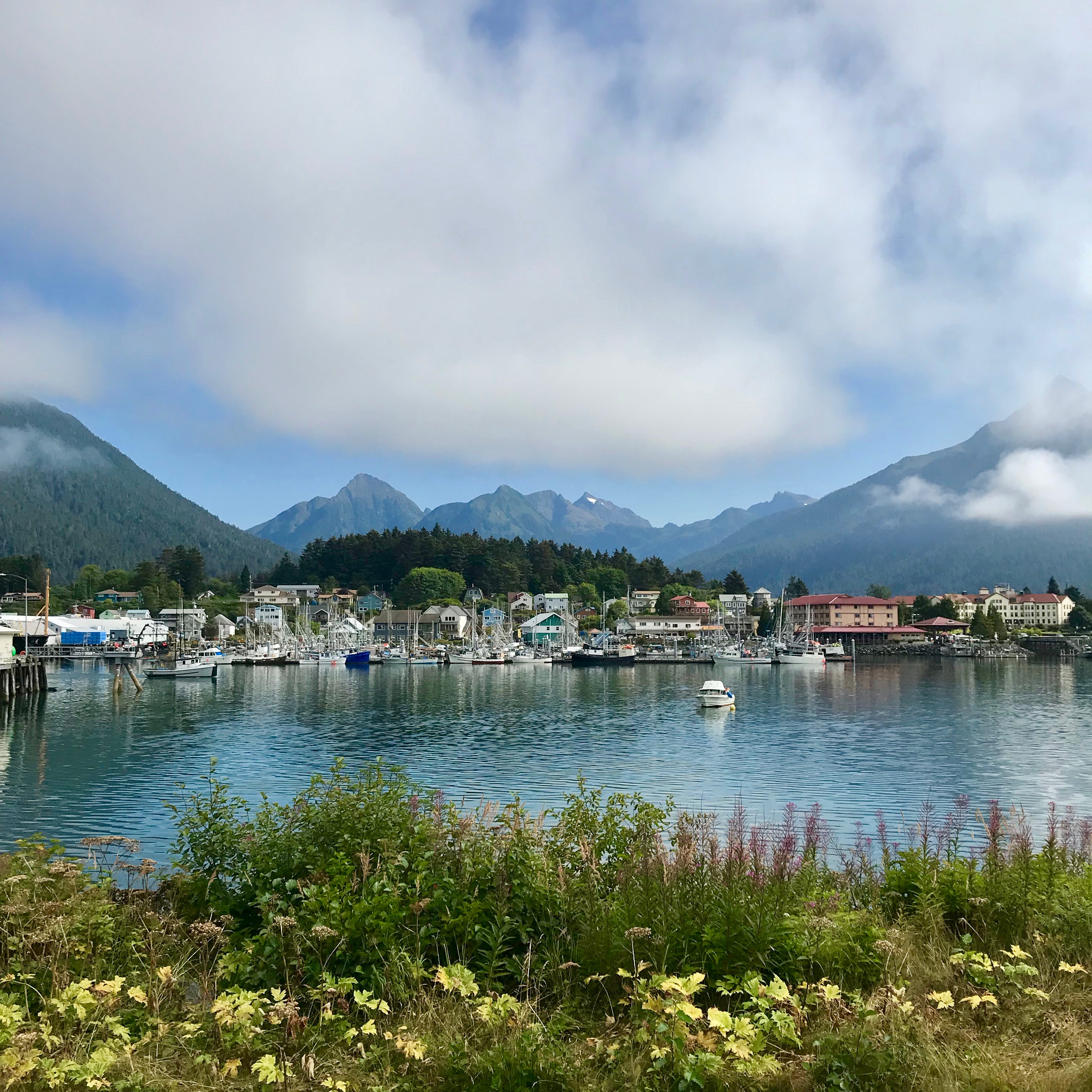 Beautiful scenery on the 2 mile walk from the airport at Sitka, Alaska to the town.