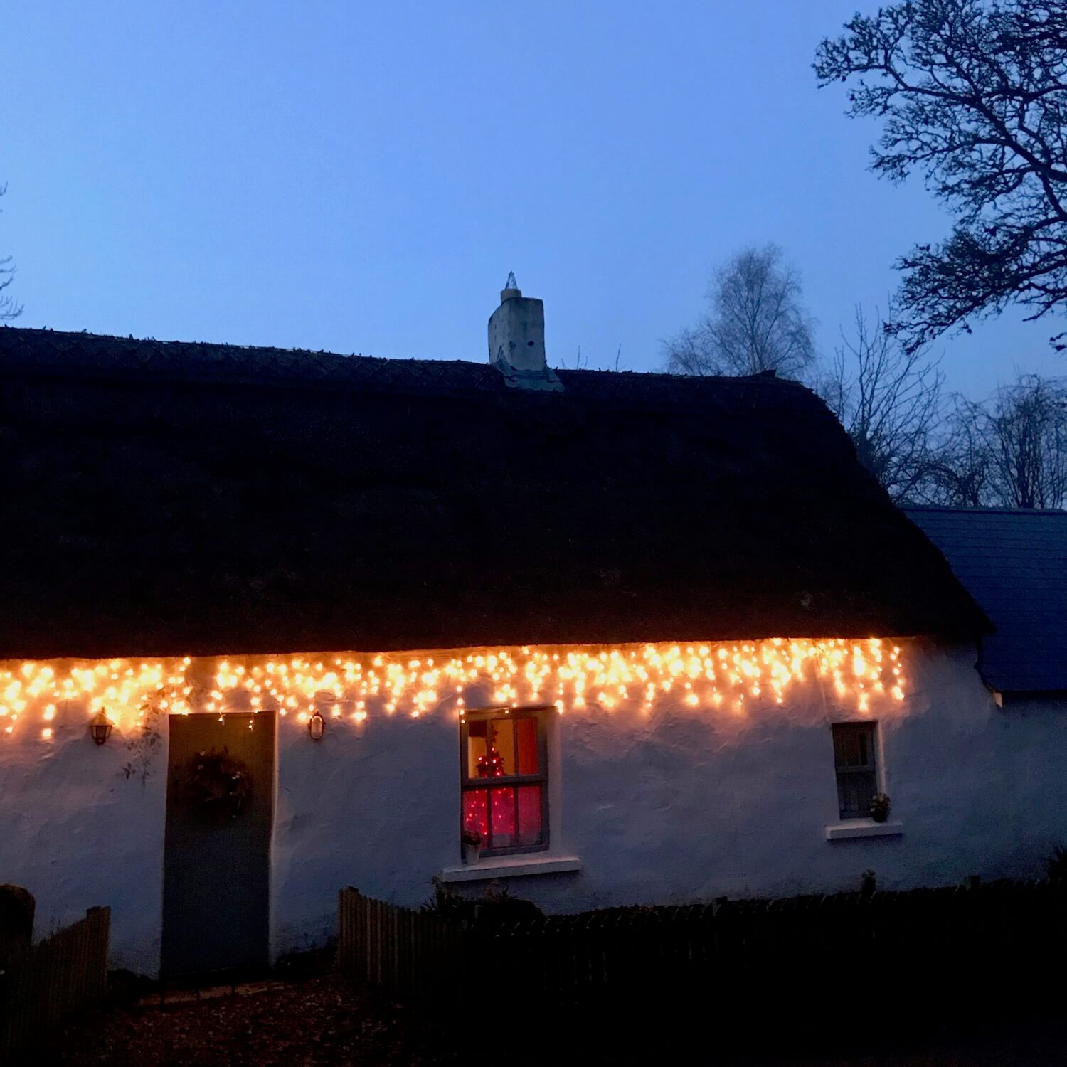 Traditional Irish cottage adorned with bright icicle lights along the edge of the thatched roof.