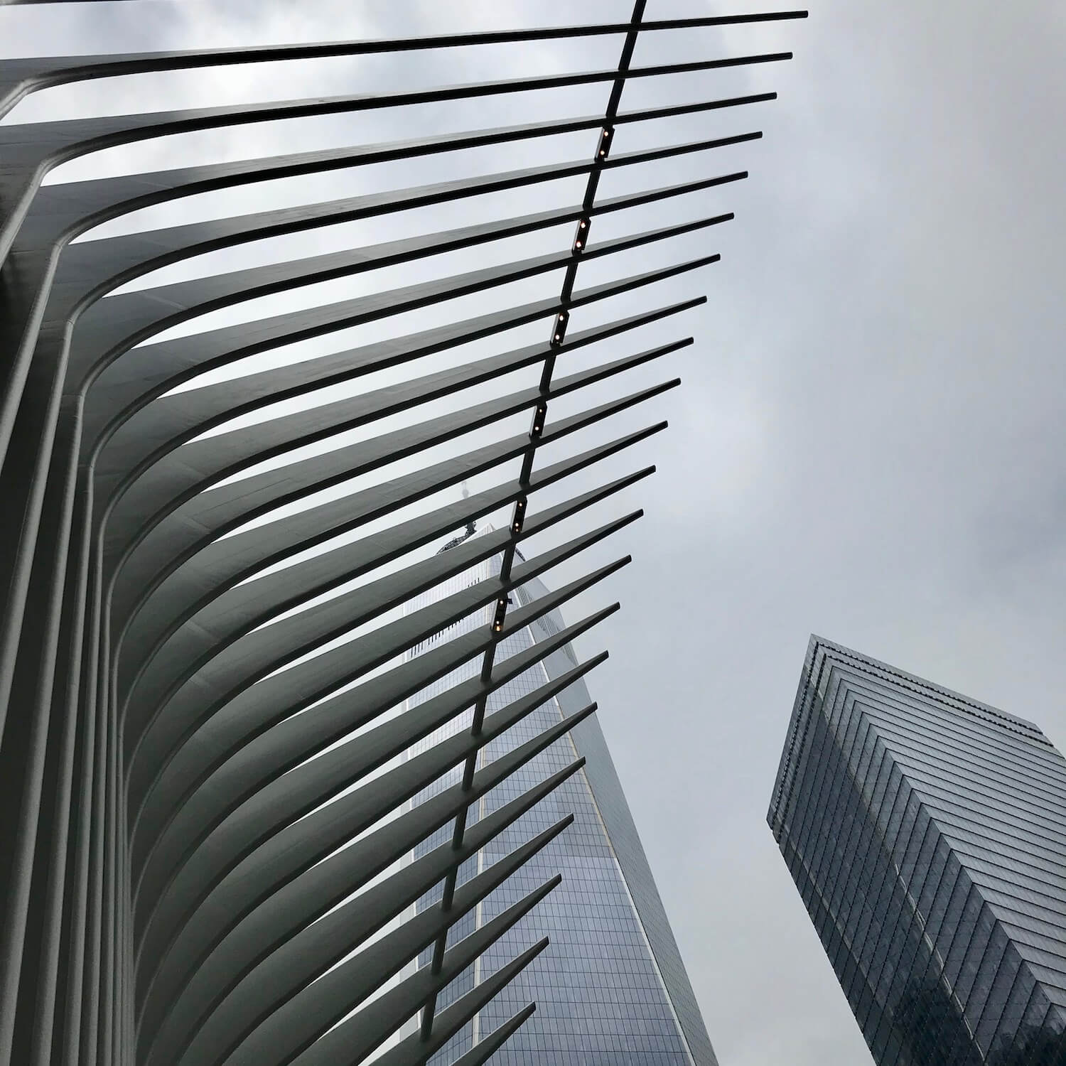 The large spine like spires of the Oculus structure near the memorial for 9/11 in New York City near Ground Zero reach up to the sky towards the new World Trade Center.