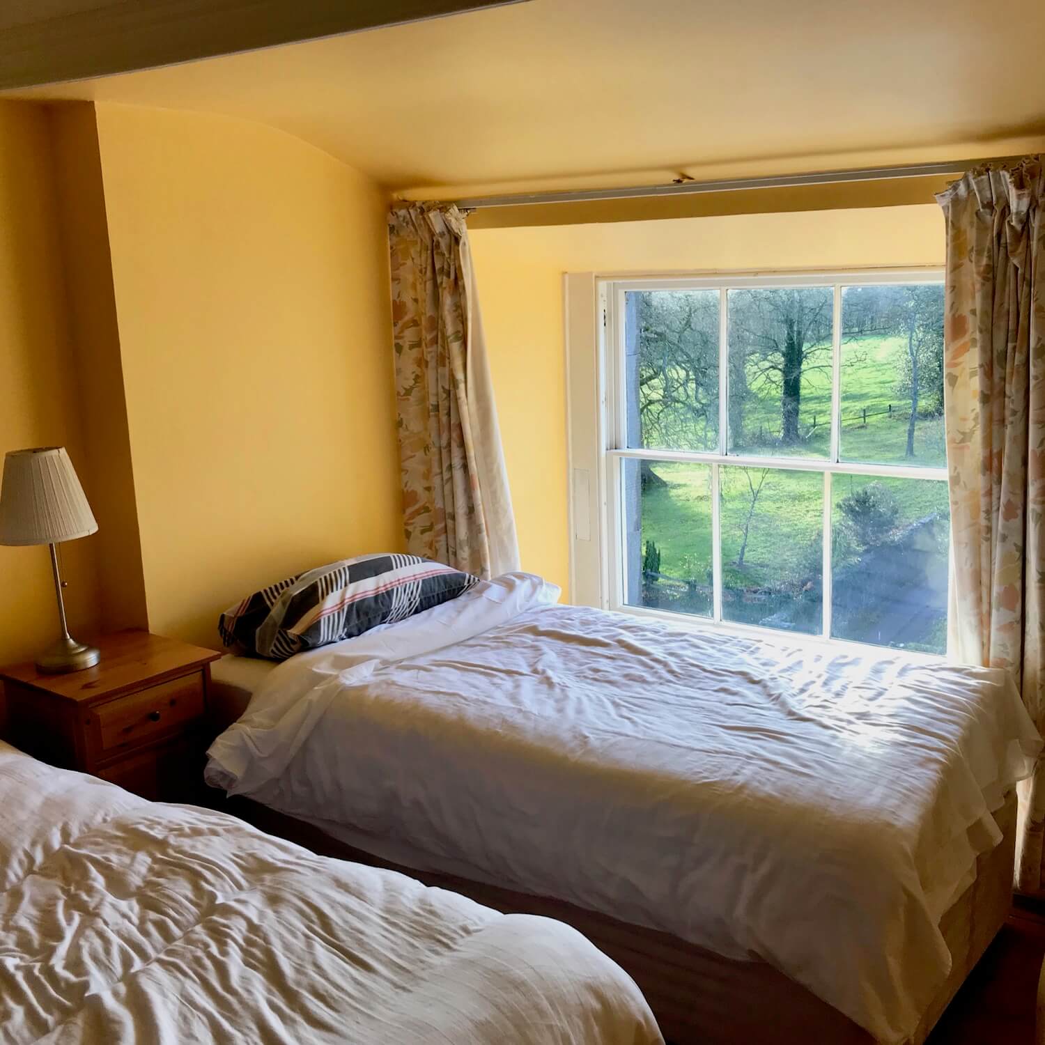 Townley Hall has several dormitory rooms with single beds. My bed was against a large window that looked out upon rolling hills of sheep grazing.