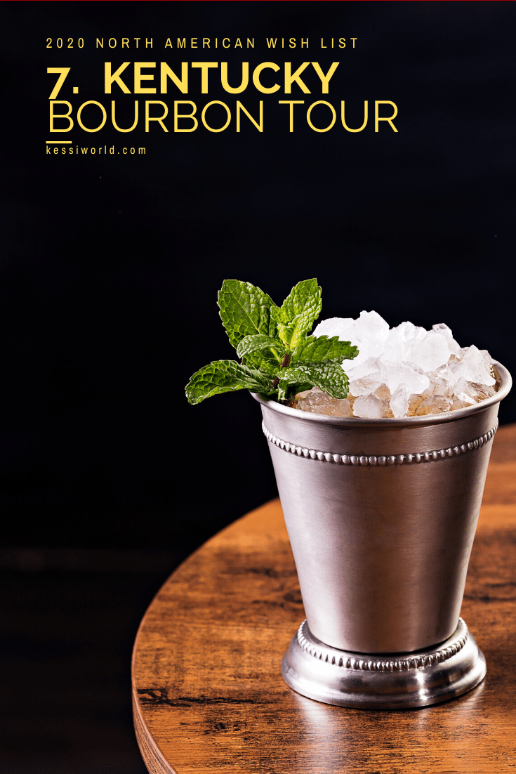 Kentucky bourbon tour is number seven on the list and features a crisp mint julep cocktail, complete with a sprig of mint garnishing the pewter cup sitting atop a wood table. The background is dark and still.