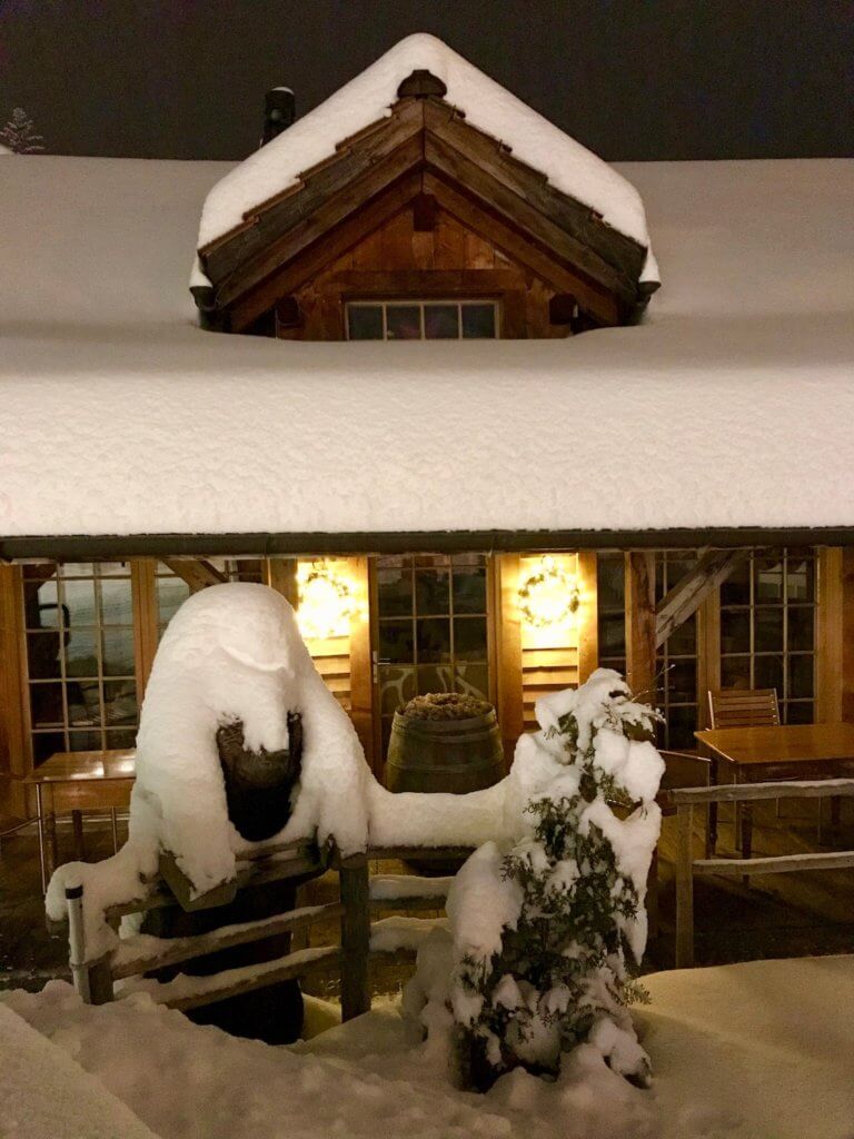 A Swiss Chalet in Grindelwald is covered in several feet of snow to the point the window in the second level is almost obscured. The front railings and sidewalk leading to the house is also covered in snow.