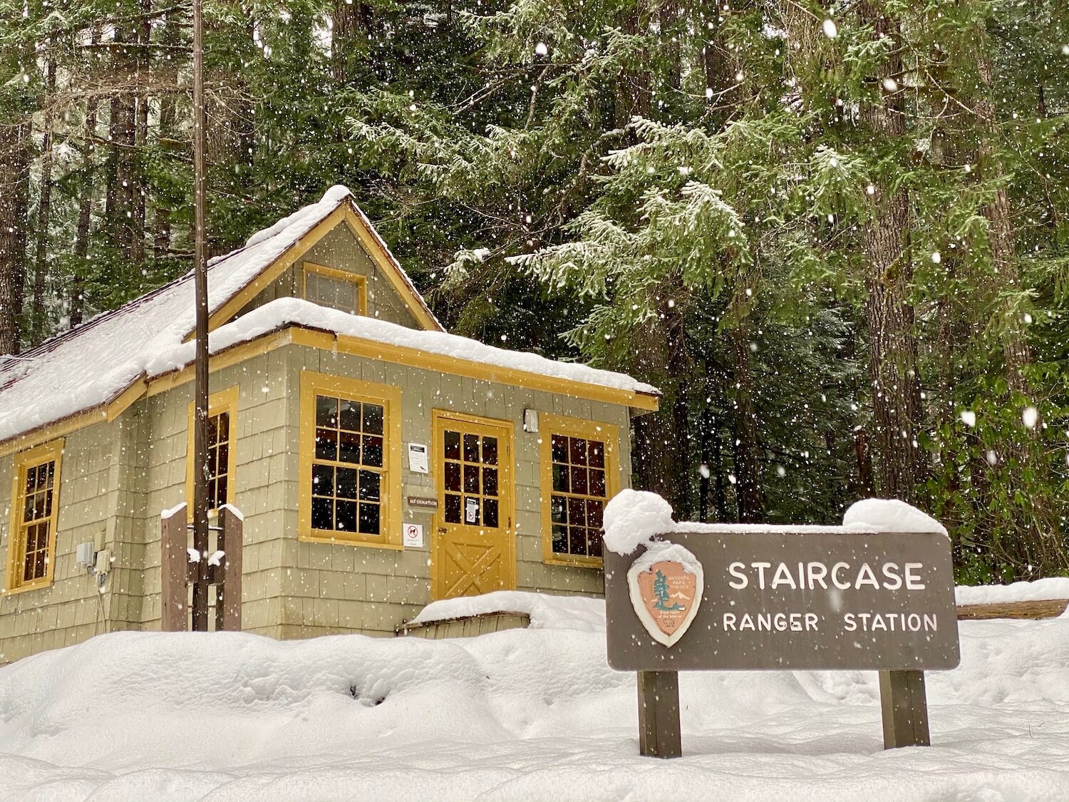 Staircase Ranger Station sign in a snow storm with a green ranger duding with yellow trim. In the background are snow covered fir trees.  A bit hard core for an explore of the Olympic Peninsula.