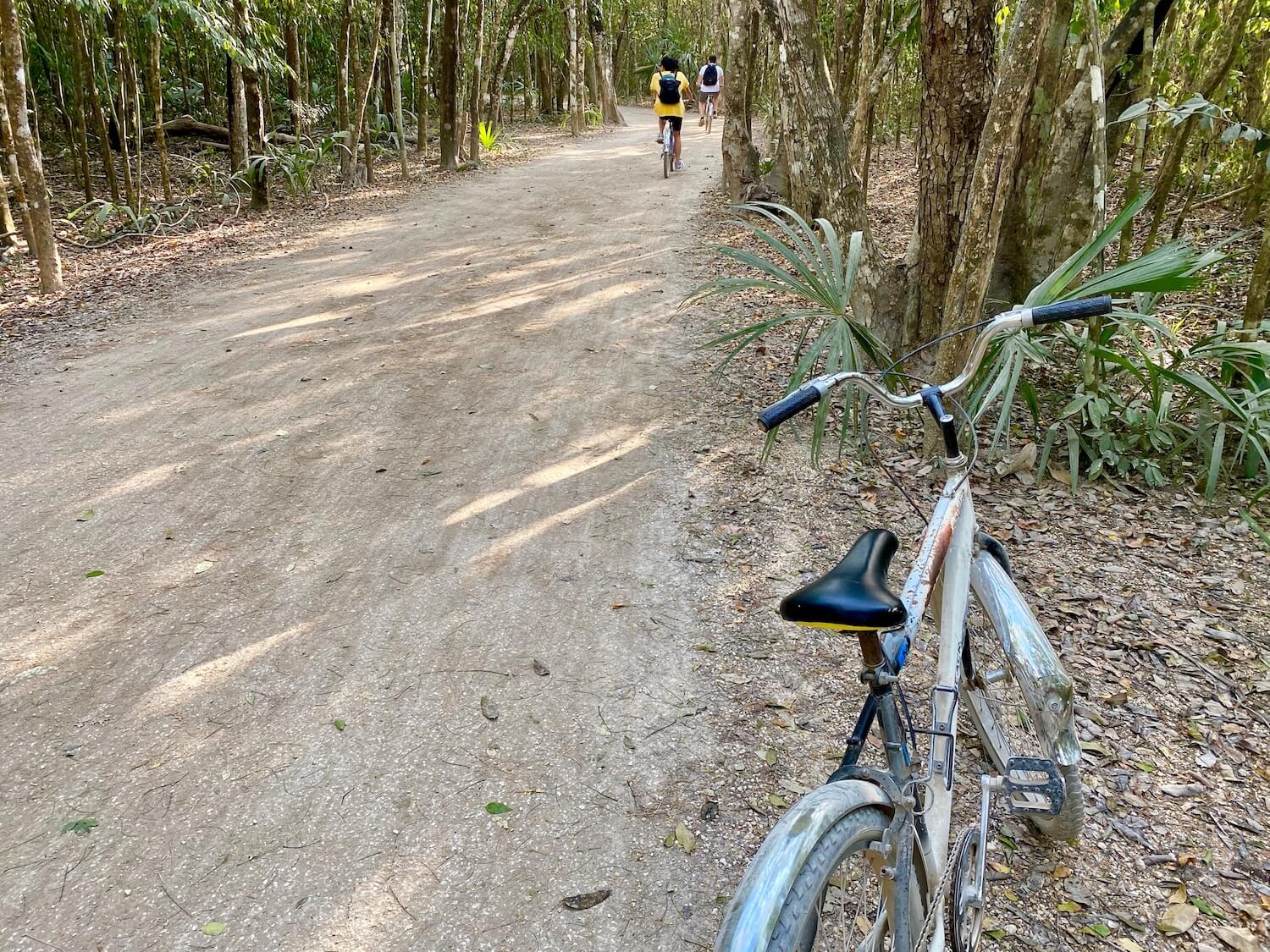 An important travel tip to explore Coba  is to rent a bike, as seen in this shot with an old one speed bicycle, covered by gray dust from the road sits parked on the side of a pathway deep in the middle of the ancient archeological site Coba. Further down the path there is a woman wearing a yellow shirt and black backpack riding a bike just behind a man riding a bike wearing a white shirt and also a black backpack.