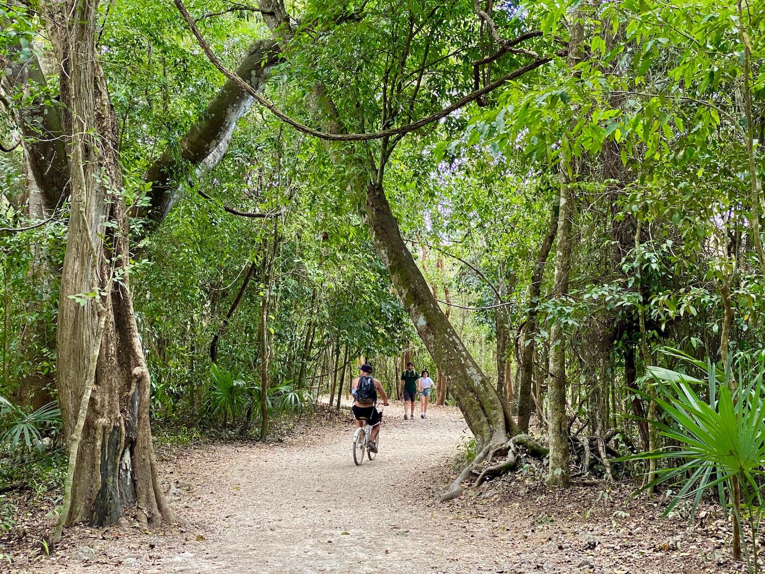 A shirtless man wearing a black back pack cycles on a bike under the thick canopy of jungle on a pathway traversing the vast Coba Ruins. The trees are lush green but the path and forest floor are very dry and dusty. In the background a male and female couple hold hands walking towards the camera.