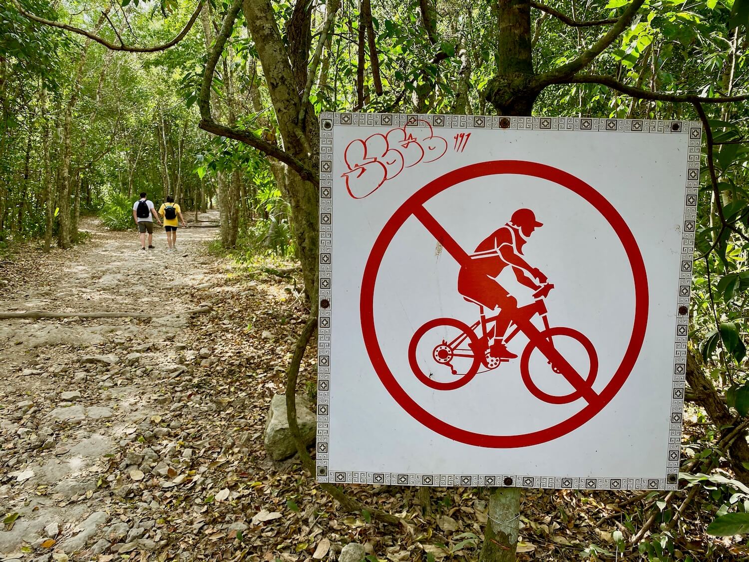 Explore Coba travel tips include getting off the main bicycle road and hiking a little.  A brightly colored white square sign with a red figure depicting a bicycle rider with a circle and x through it indicates the pathway of white rock in Coba archeological site is not open to cyclists. In the background a couple wearing white and yellow shirts walks amongst the thick jungle vegetation on a white stone, leaf covered walking path used over a thousand years ago by the Mayans living in this Coba settlement.  
