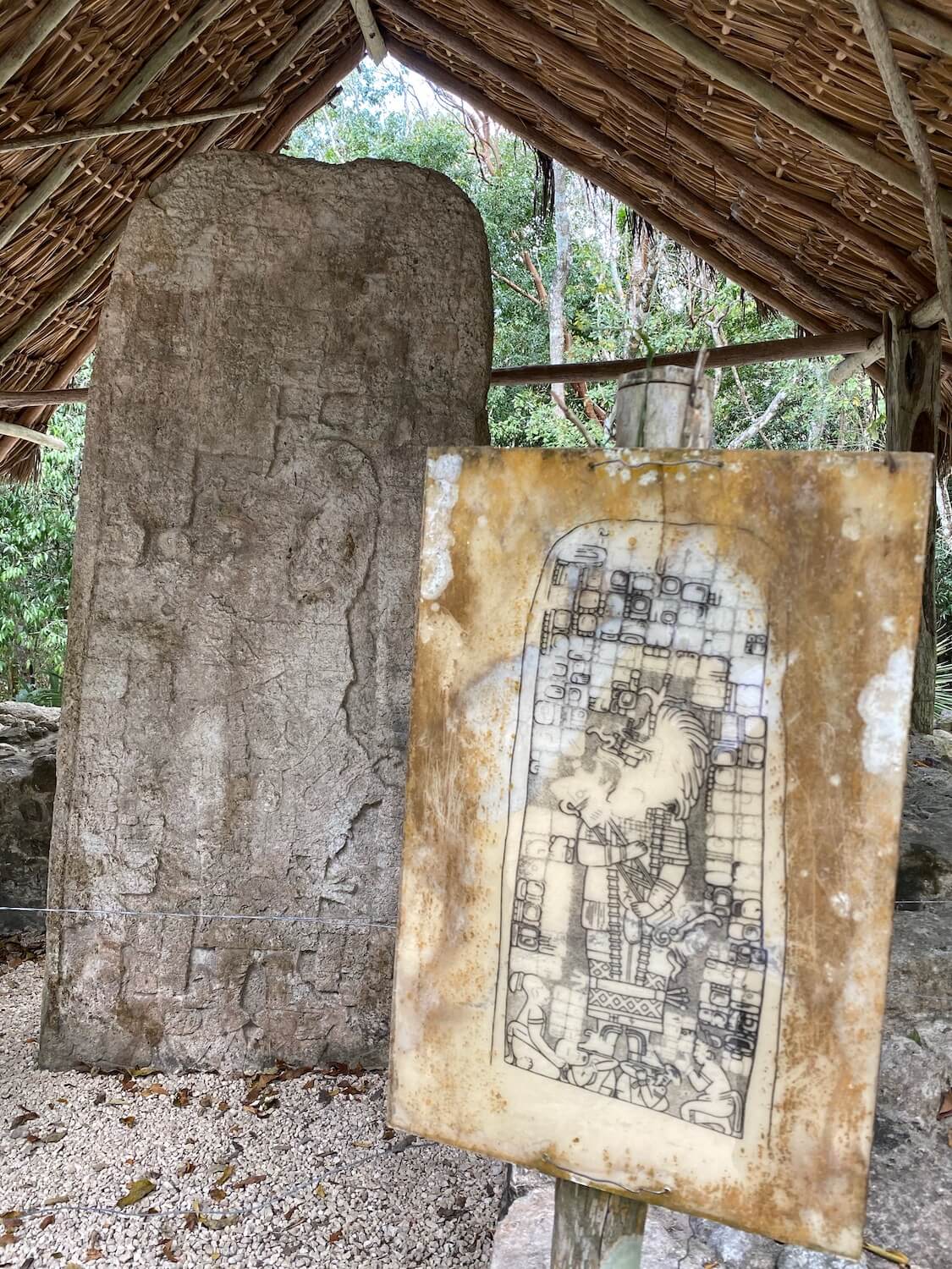 A closeup view of Stele 1 in the Macanxoc Group of the ancient Mayan Ruins of Coba.  The Stele is a tall piece of etched stone with faint outlines depicting the Mayan calendar with the end of days date of December 21, 2012.  