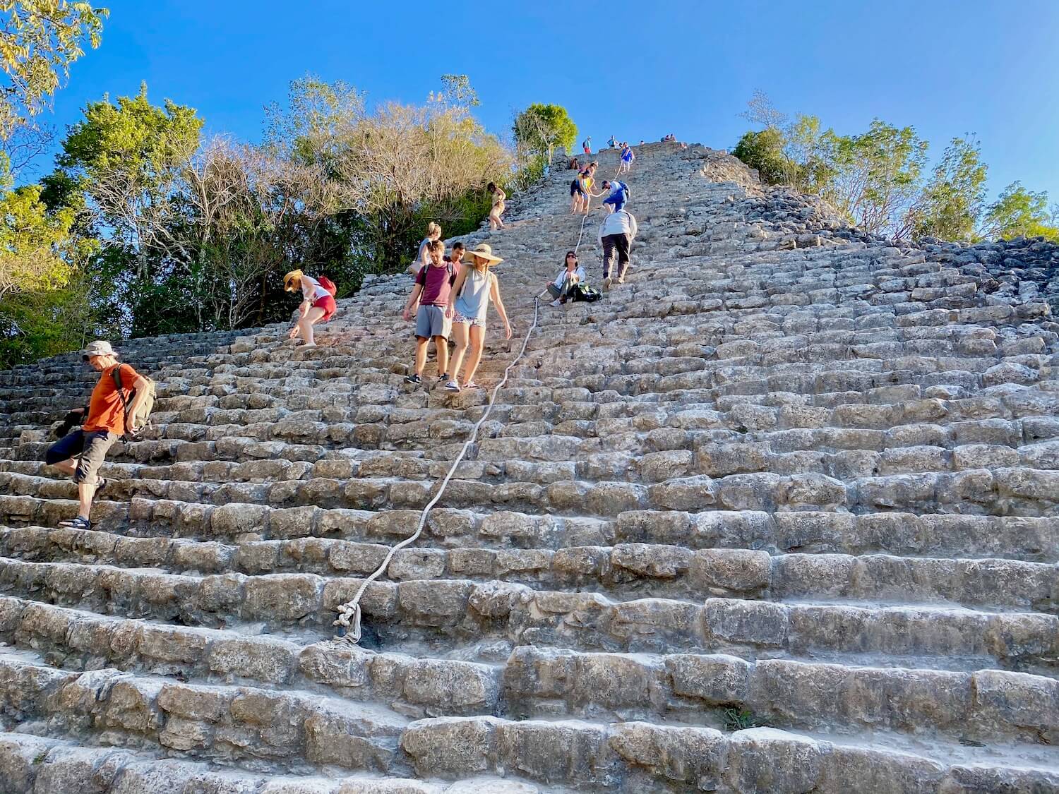The highest pyramid amongst the ancient mayan ruins of Coba, viewing from the ground level up the hundred limestone steps leading up to the top of the structure.  There is a secure rope in the center of the steps with a dozen tourists making their way up and down.  Behind the pyramid are jungle trees with blue sky. 
