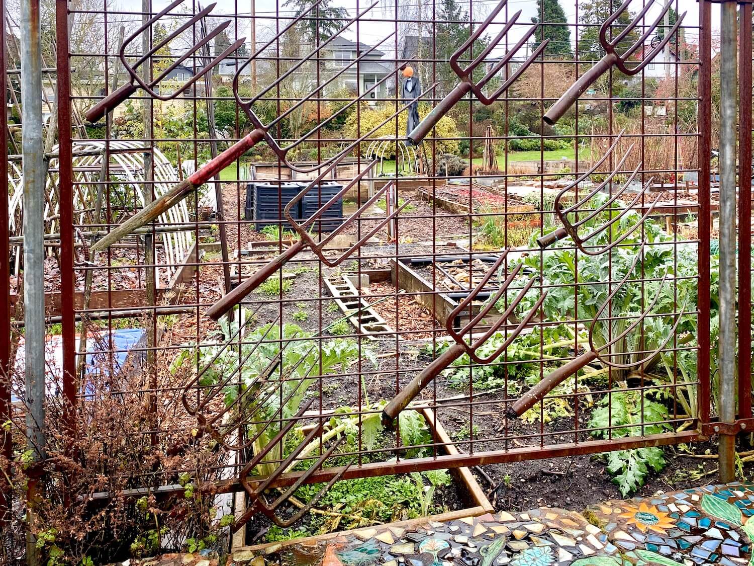 A metal grade garden gate allows vision through the fence, made up of a collection of pitchforks, towards the Seattle gardens in this wintry scene.
