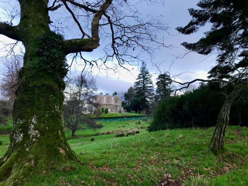 An Irish estate with three roofs and manicured grounds is seen through a thicket of old deciduous trees.  A rich green pasture with slight roll in the elevation connects the grove of trees with the home.  
