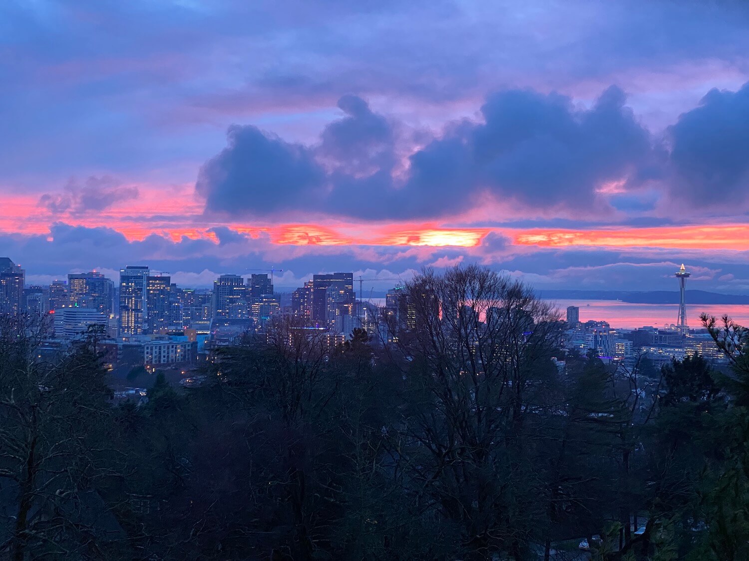 A beautiful winter scene viewing from the Volunteer Park Water Tower at sunset. This view of Seattle shows dark deciduous and fir trees with a layer of dusk lighted downtown office buildings while the bright orange sun sets amongst purple and blue clouds.