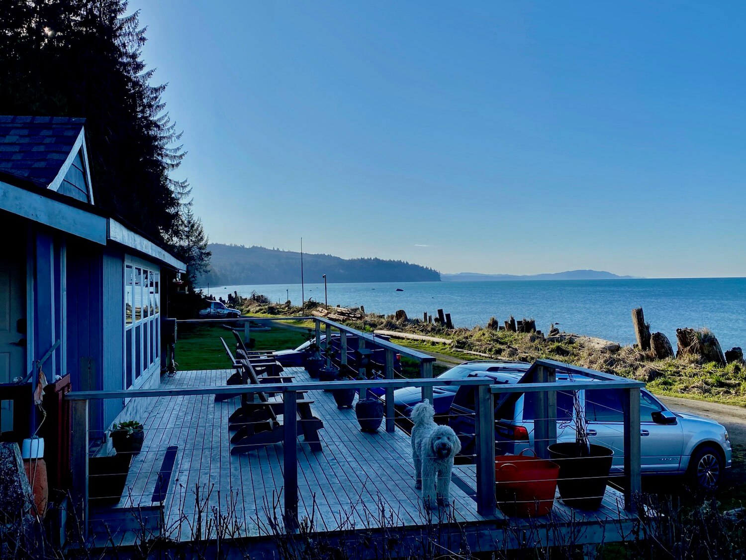 A cabin located near Joyce Washington on the Olympic Peninsula looking toward the Straight of Juan de Fuca. In the foreground is a beach cabin with deck and a trimmed poodle with some cars in the driveway. The water is blue and the water scape is vast with some peninsulas of land jutting out into the strait.