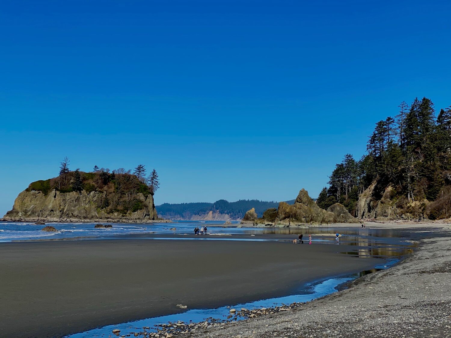 Any getaway to a Washington State beach requires exploring the beach.  The waves lightly roll onto a low tide sandy swath of Ruby Beach on the Washignton Coast. Pine and fir trees lead cover a hill on one side while an island pops up in the water and around the island with trees clinging to life atop the island. The water is blue with white caps and dark blue land carries out on the skyline with a completely clear blue sky above the Pacific Ocean.
