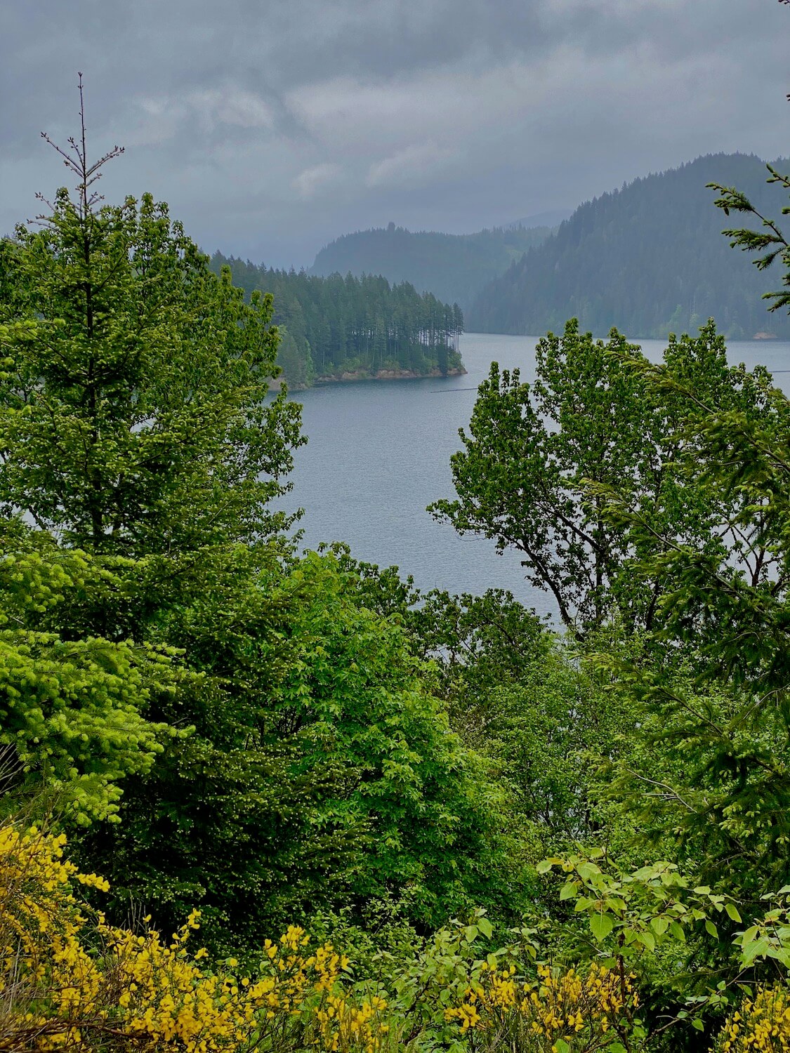 The lakes along the Lewis River, near Cougar, Washginton are beautiful any time of year with a sense of mystical fog and open bands of green fir trees.  