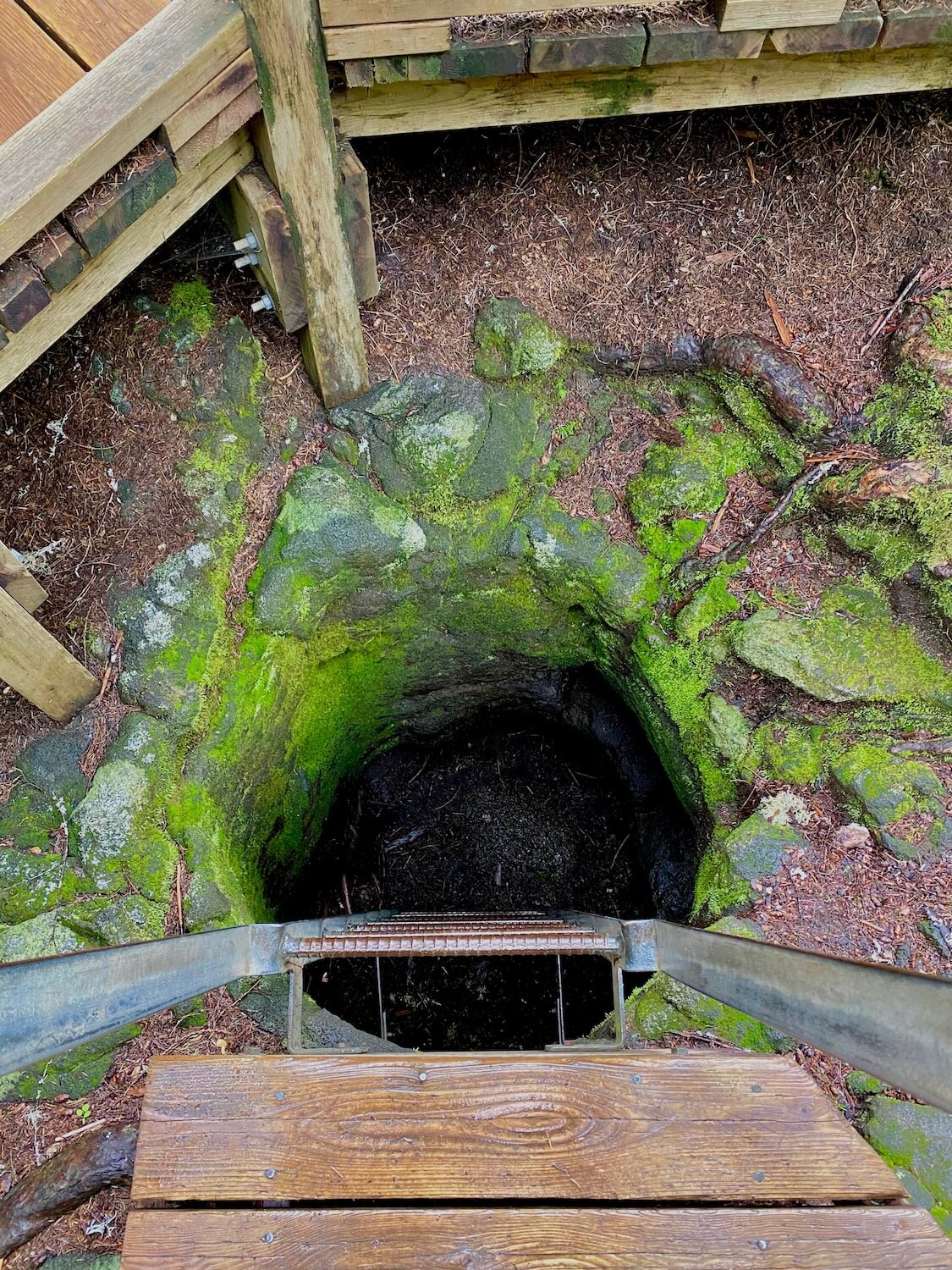 A great activity on a visit to Mount St. Helens is a lava tube created by a tree.  This is an iron ladder leading into a round hole made from a tree covered in lava that burned out many thousands of years ago.  It is dark in the tube, which is surrounded by lime green moss.  