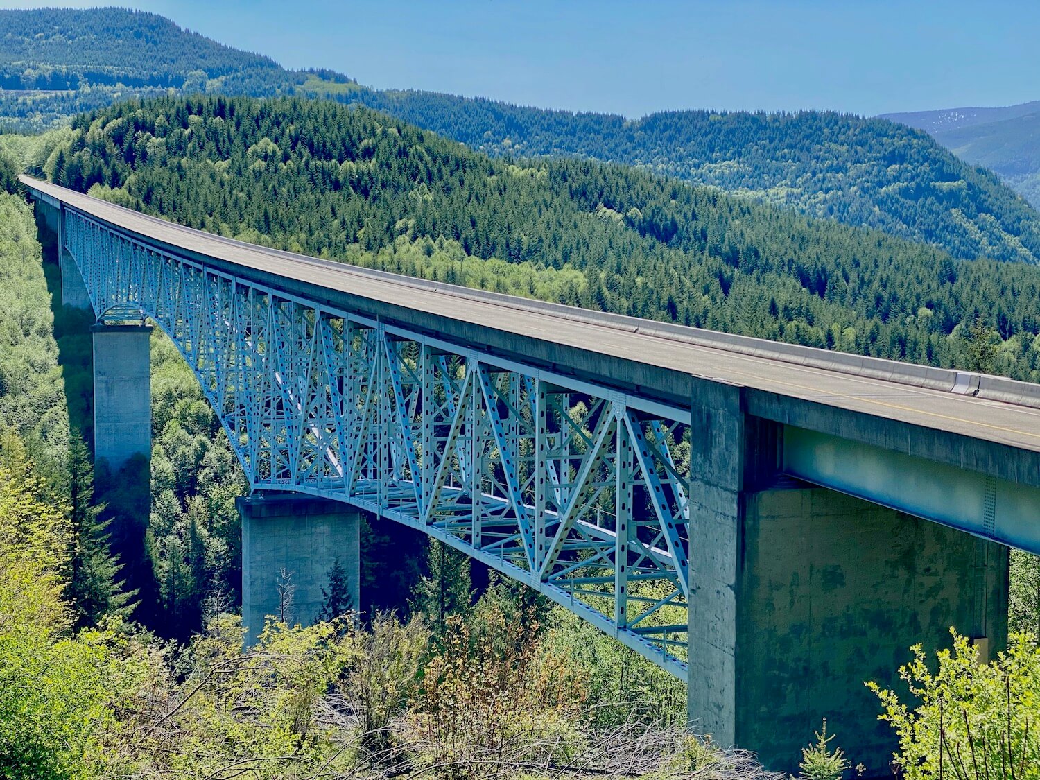 A view of a large bridge spanning a deep canyon on Highway 504 leading to viewpoints of Mt. St. Helens.  The rolling foothills seen in this photo are covered with dark green fir trees and lighter green maples and alders and the sky in the background is blue. 
