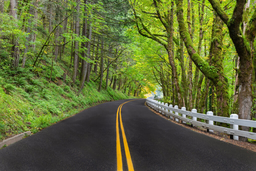 A wooded section of the historic Columbia River Highway which winds along the gorge in Oregon. This pavement road has a double yellow line in the center and the signature white painted wood guardrails from the 1920's add a bit of nostalgia to the scene.