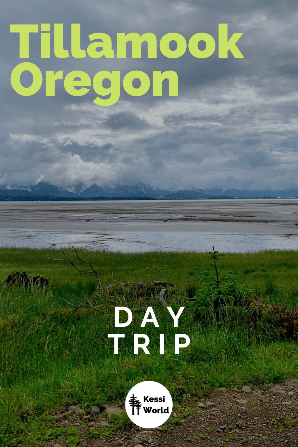 Bayocean is a peaceful spit of land between the Pacific Ocean and Tillamook Bay. The coastal colors are alive with bright greens and the gray clouds and brown sand and road add contrast to this photo.