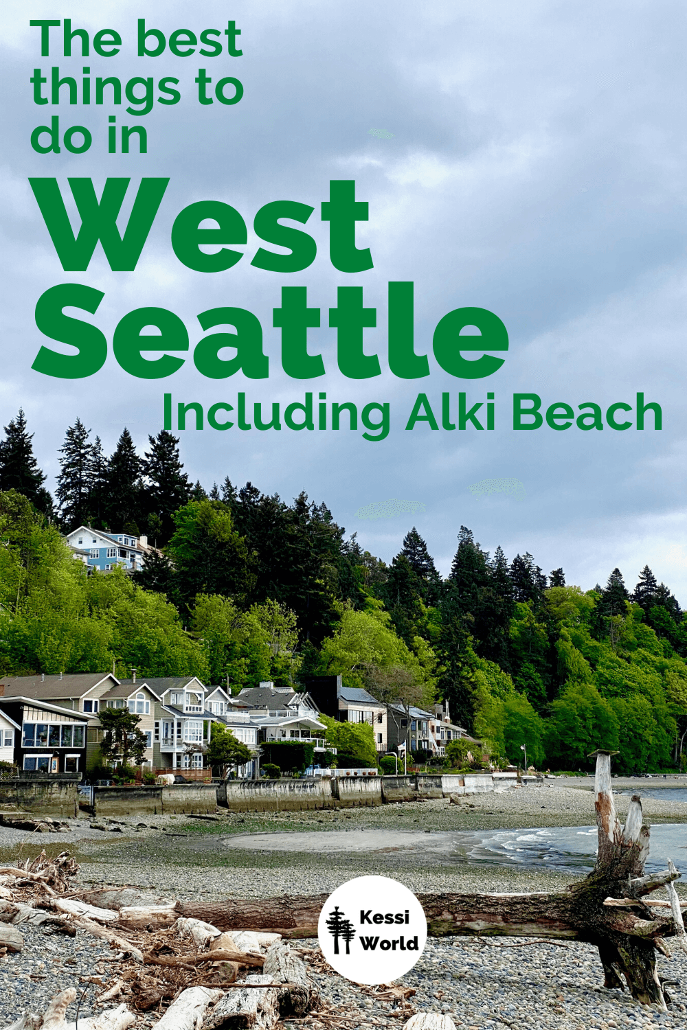 Low tide on a rocky pebble beach near Alki in West Seattle. There is a large tree with root balls washed up on the beach while a line of beach houses follow the coastline to a forest of green fir and maple trees.