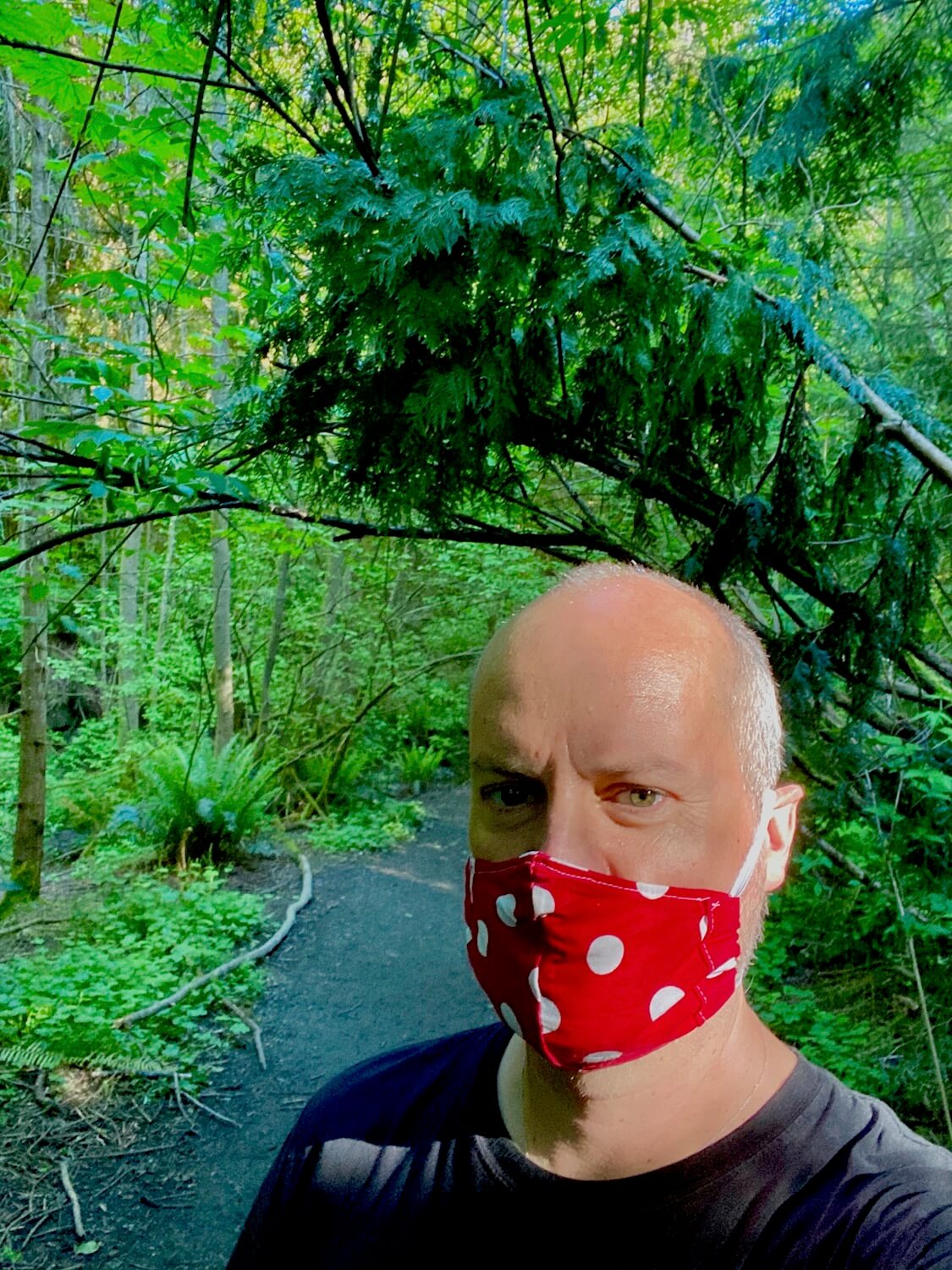 This is a selfie of Matthew Kessi while on a trail in the Schmitz Preserve, which is on Alki Point in West Seattle. There is a gravel pathway leading into a thick forest of green ferns, fir trees and other thick foliage.