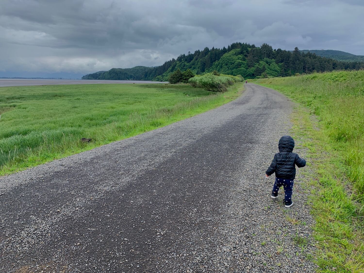 Bayocean is a peaceful spit of land between the Pacific Ocean and Tillamook Bay. The coastal colors are alive with bright greens and the gray clouds and gravel road add contrast to this photo.