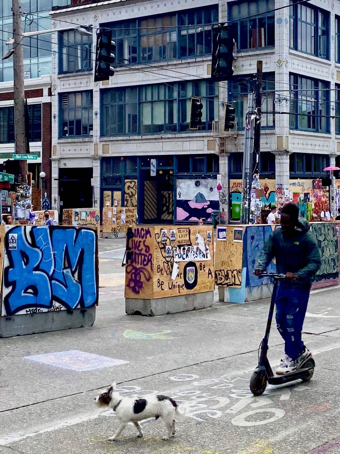 A black teenager rides a scooter with his small white dog running beside him along road barriers painted with Black Lives Matter messages in the CHOP zone of Capitol Hill in Seattle. 