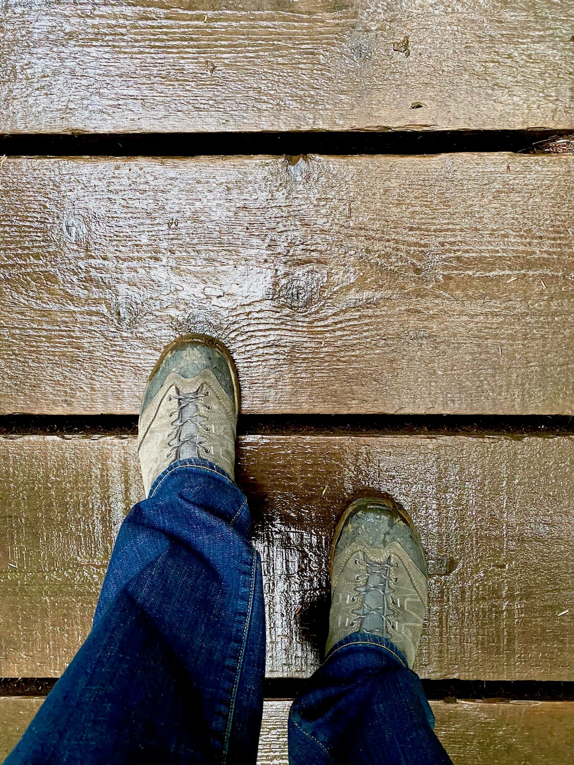 Two feet in hiking boots with mud around the soles walk on wet planks of wood. The figure is wearing jeans.