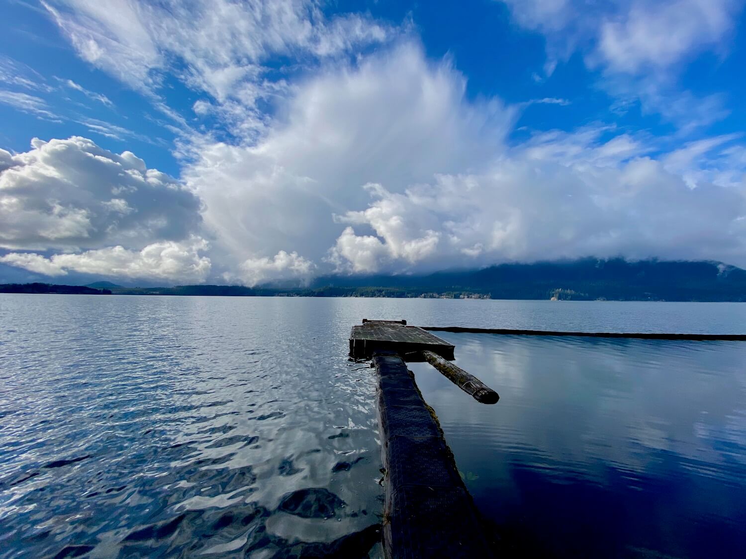 The calm waters of Lake Quinault quiver around a narrow dock that serves to protect swimmers in the lake.  The clouds in the sky are alive with splashes of white in front of a blue sky