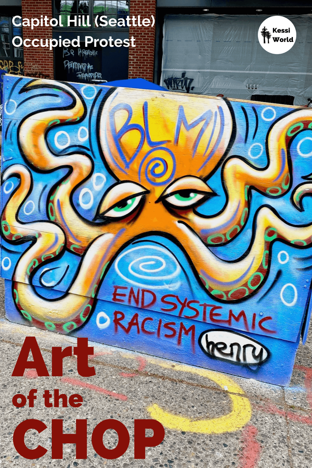 This photo was taken near the CHOP zone in the Seattle neighborhood of Capitol Hill. CHOP stands for Capitol Hill Occupied Protest. This mural is painted on plywood affixed to a traffic barrier and shows an orange colored octopus against a blue back drop with blue letters that say BLM and red lettering that says, End Systemic Racism.