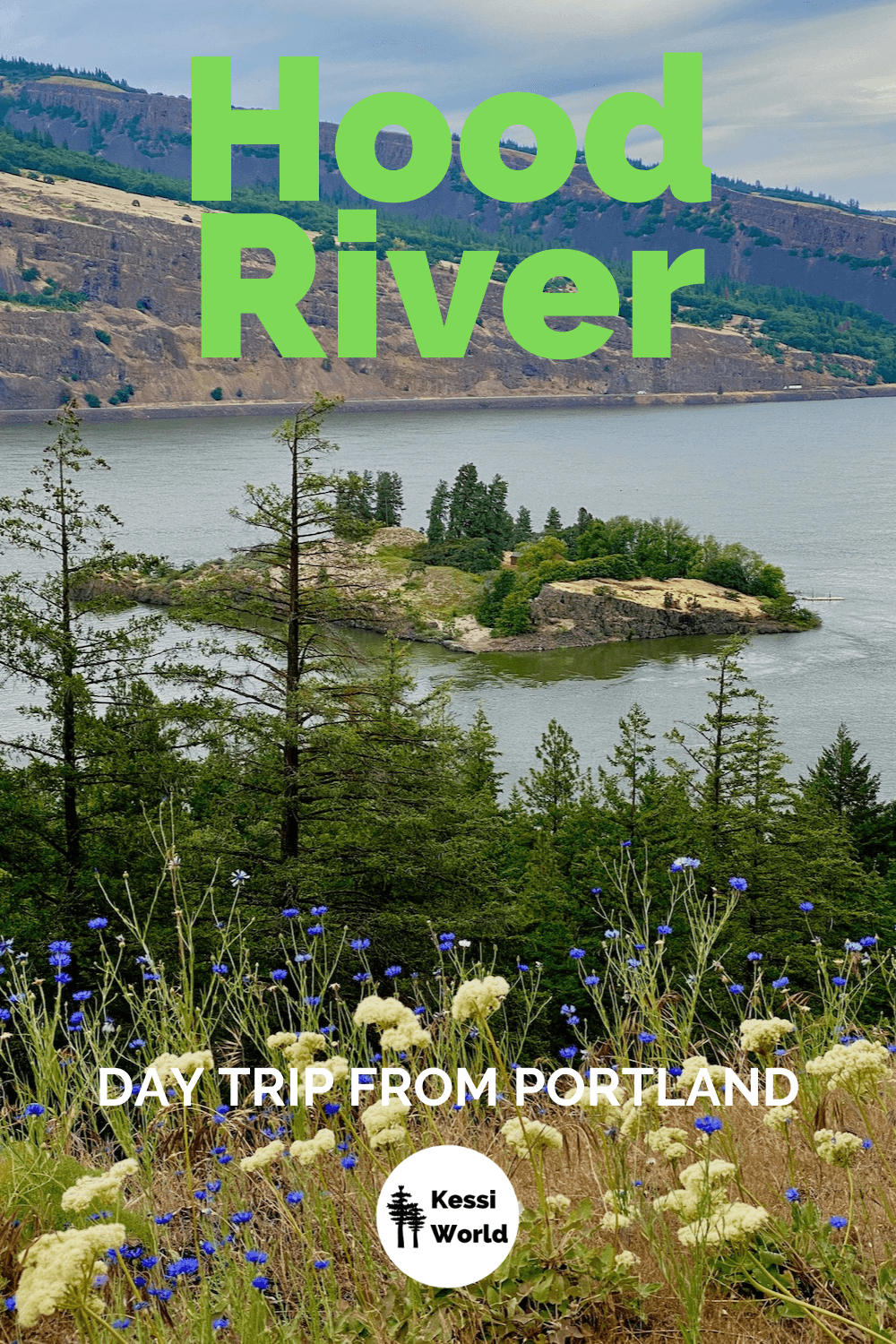 This Pinterest tile outlines a great day trip from Portland. A view of the Columbia River Gorge near Hood River, Oregon. Bright white and blue wildflowers are in bloom in the foreground of the shot while a tree covered island can be seen in the middle of the Columbia River. The sloping bank on the opposite side of the river shows layers of texture and color with a partly cloudy sky above.