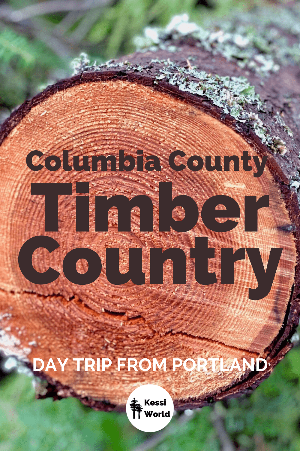 This Pinterest tile shows a cross section of a Douglas fir log that has been freshly sawed through. The rings exposing the age of the tree are showing and patches of aqua colored moss cling onto the outer bark of the mid-size tree.