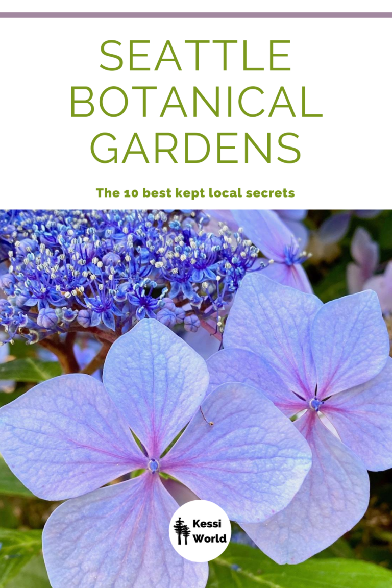 Seattle botanical gardens the 10 best kept local secrets Kessi World