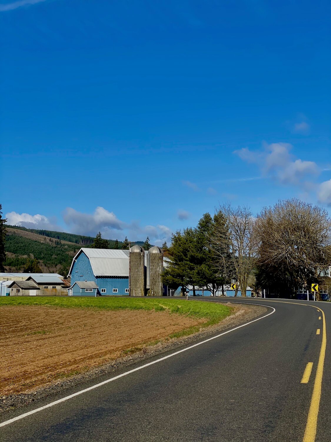 A roadway turns just before a blue dairy barn next to two tall and narrow grain silos. There are trees around the farm and the blue sky above has a few white puffy clouds. The field across the road from the barn is newly plowed brown dirt.