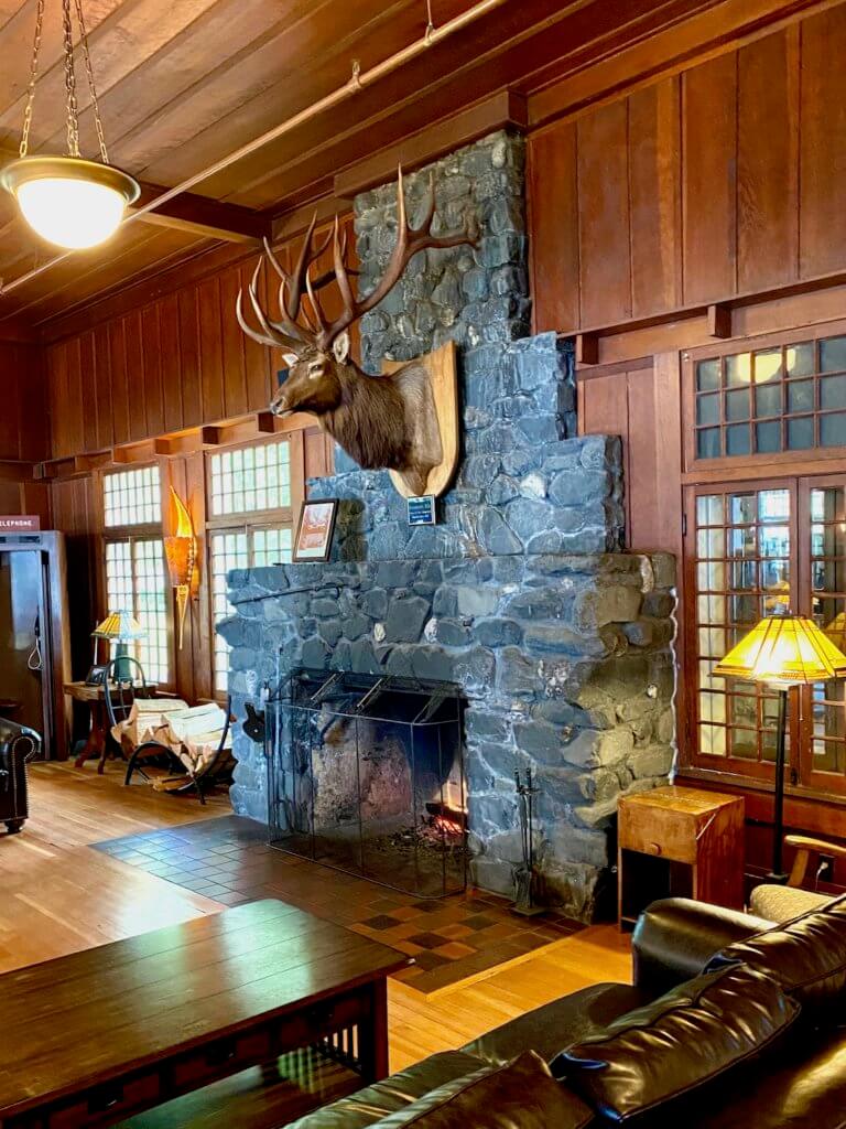 The rich interior of Lake Crescent Lodge offers a throwback to early Olympic National Park days. The head of a large Roosevelt Elk, complete with a large rack of horns, is mounted on the gray stone fireplace mantle. A lush brown leather couch frames in the lobby area with a yellow stained glass lamp and hundreds of tiny square pane windows creating three distinct doorways out to the forest.