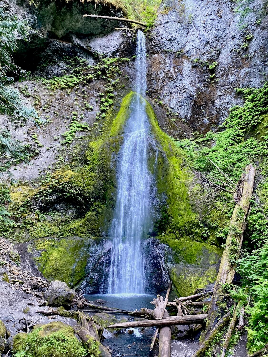 The Olympic National Park is full of inspiration, including the majestic Marymere Falls. The water begins from a creek up on the cliff and fans out to cascade down a steep moss lined face of rock. The pool of water at the bottom collects mist around fallen logs and smaller green ground brush.