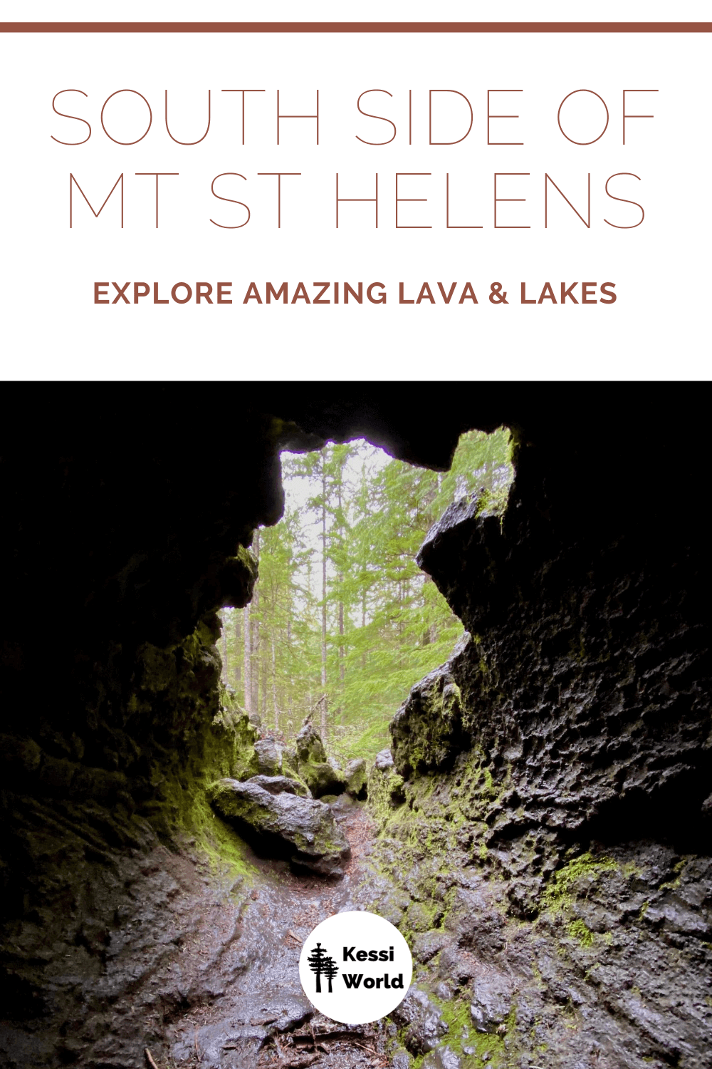 A great activity on a visit to Mount St. Helens is a lava tube created by a tree. This is an iron ladder leading into a round hole made from a tree covered in lava that burned out many thousands of years ago. It is dark in the tube, which is surrounded by lime green moss.