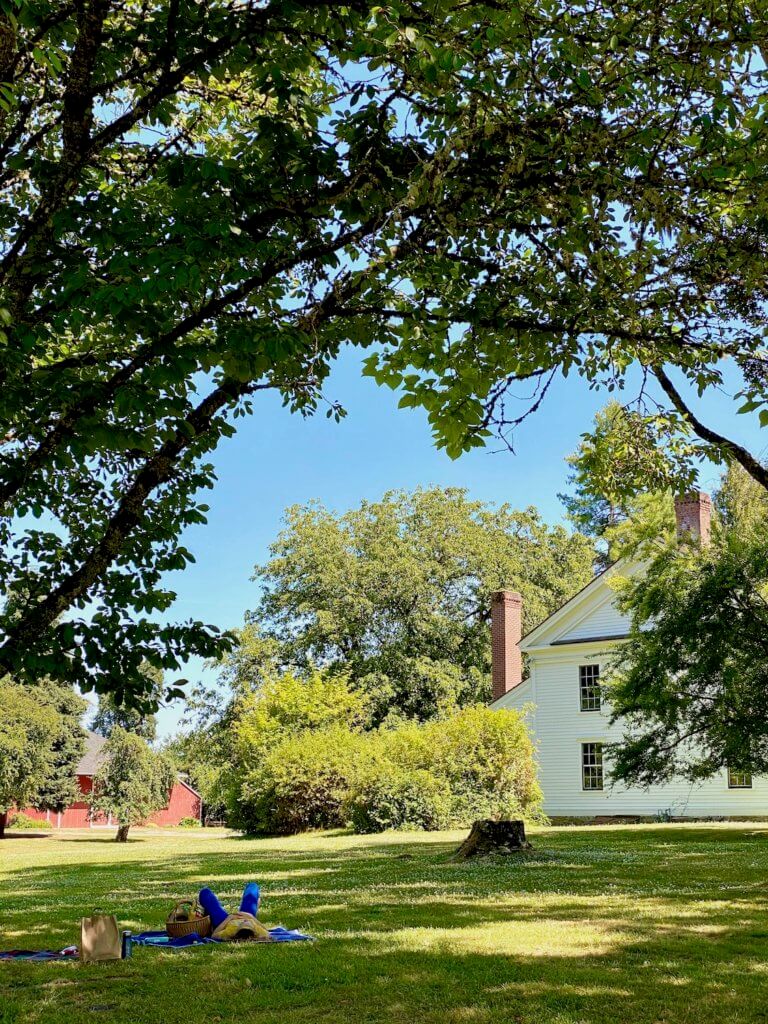 A woman lies on a blanket, with a picnic basket looking up at the thick trees creating shade on a sunny day. She's on the wide grassy lawn of a park, with a 1800's wood paneled house with red brick chimneys in the background and patches of red barn farther behind the house.