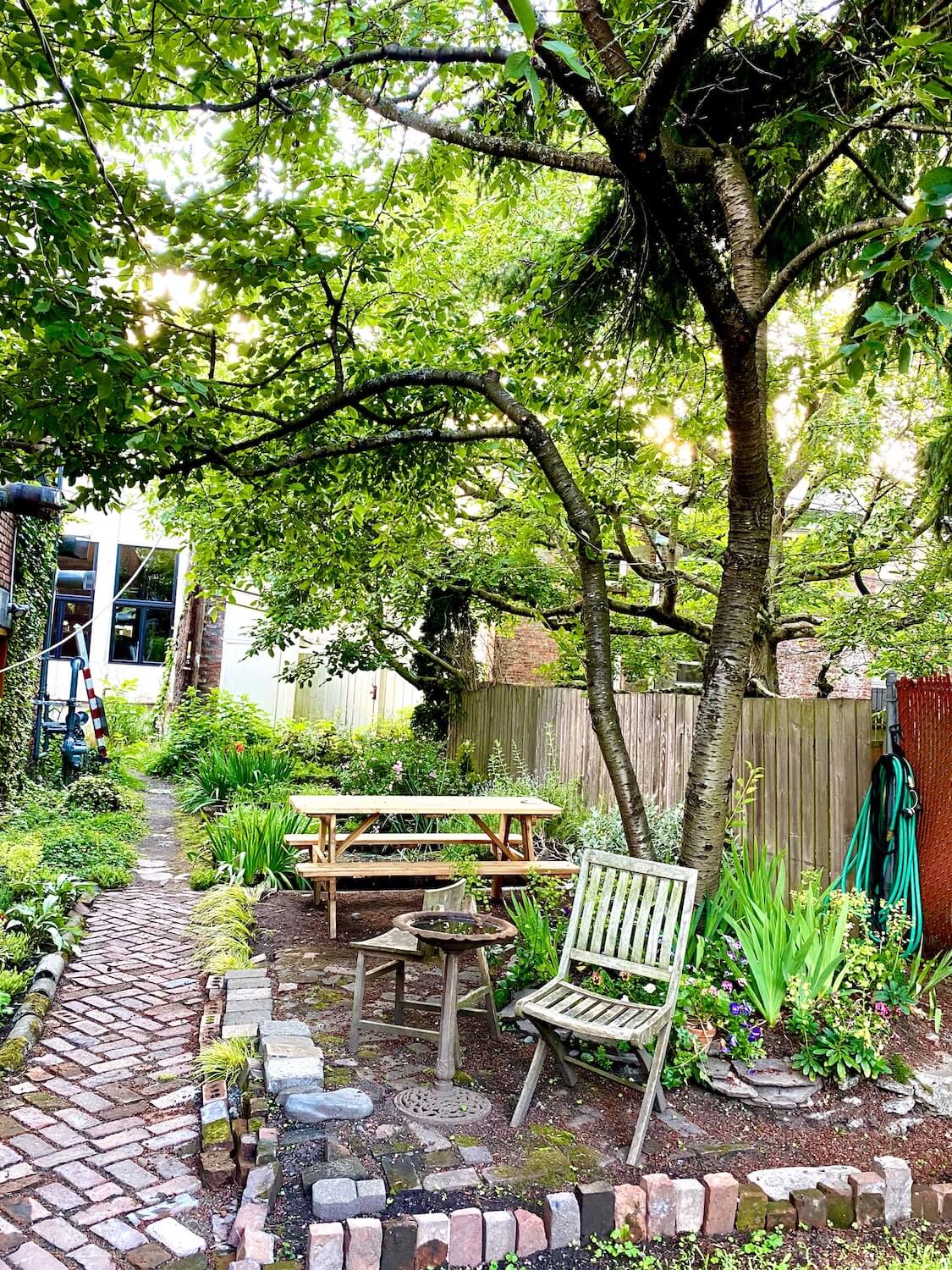 A rustic back yard garden is quiet with a wooden picnic table, folding deck chair and a rusted metal bird bath full of a puddle enough water. The brick path is laid with a chevron pattern and a winding tree offer shade to this entire scene.