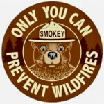 A Smokey the Bear brown medal with beige print. It is a circle and he is in the middle looking directly toward the audience.