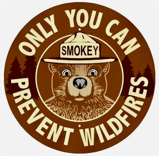 A Smokey the Bear brown medal with beige print. It is a circle and he is in the middle looking directly toward the audience.