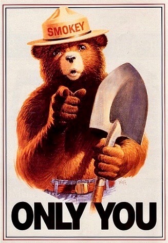 Vintage Smokey the Bear poster where he is pointing toward the audience saying, Only YOU can prevent forest fires. He's wearing a ranger hat that says Smokey and is holding a pointed shovel.