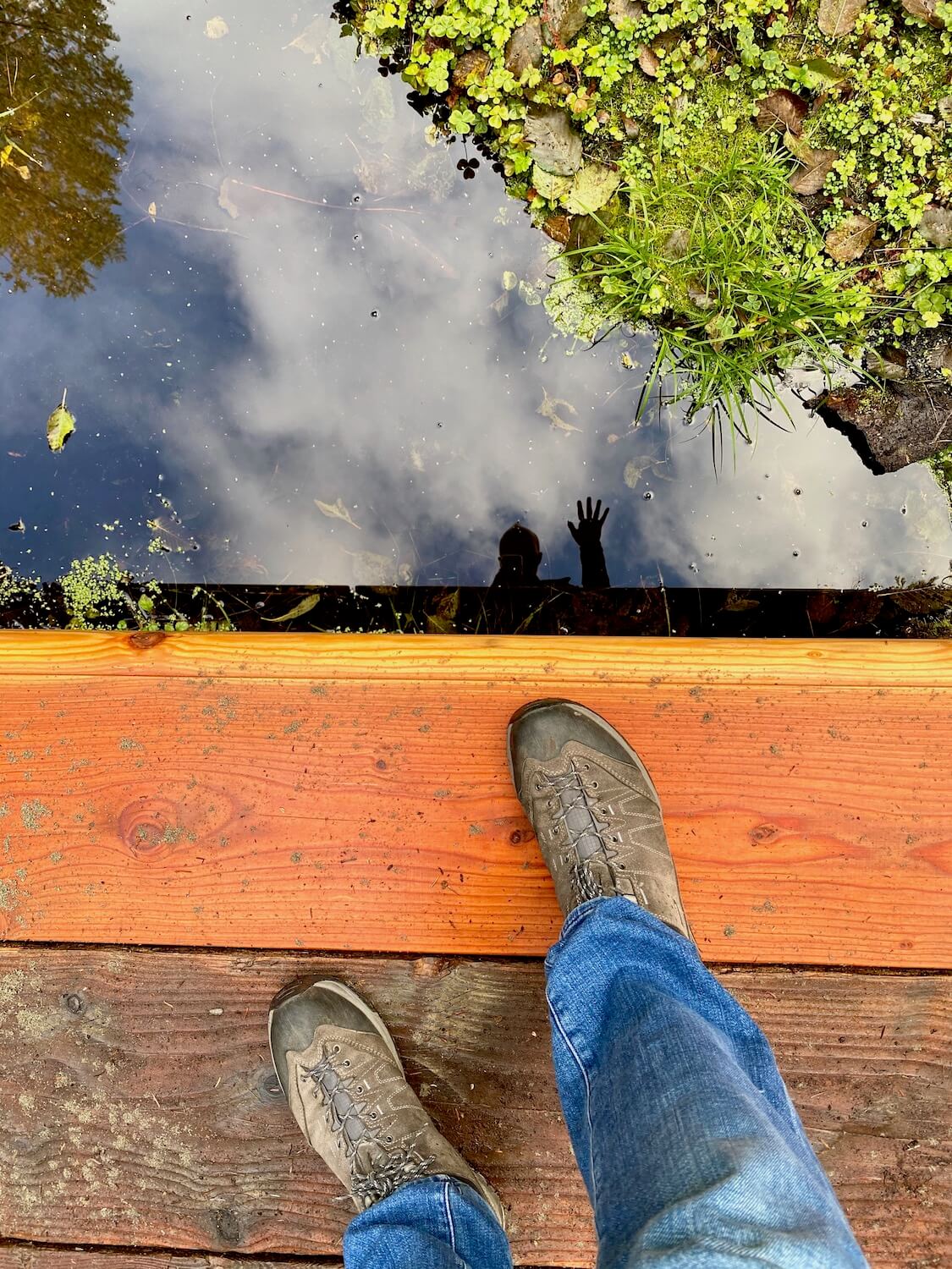 Matthew Kessi stands on golden brown wood boards that make up a boardwalk. He peers over the edge and waves his hand, which is reflected in the black murky water below. He is wearing hiking shoes that can be seen as well as jeans. There is a patch of green water plants in one corner.