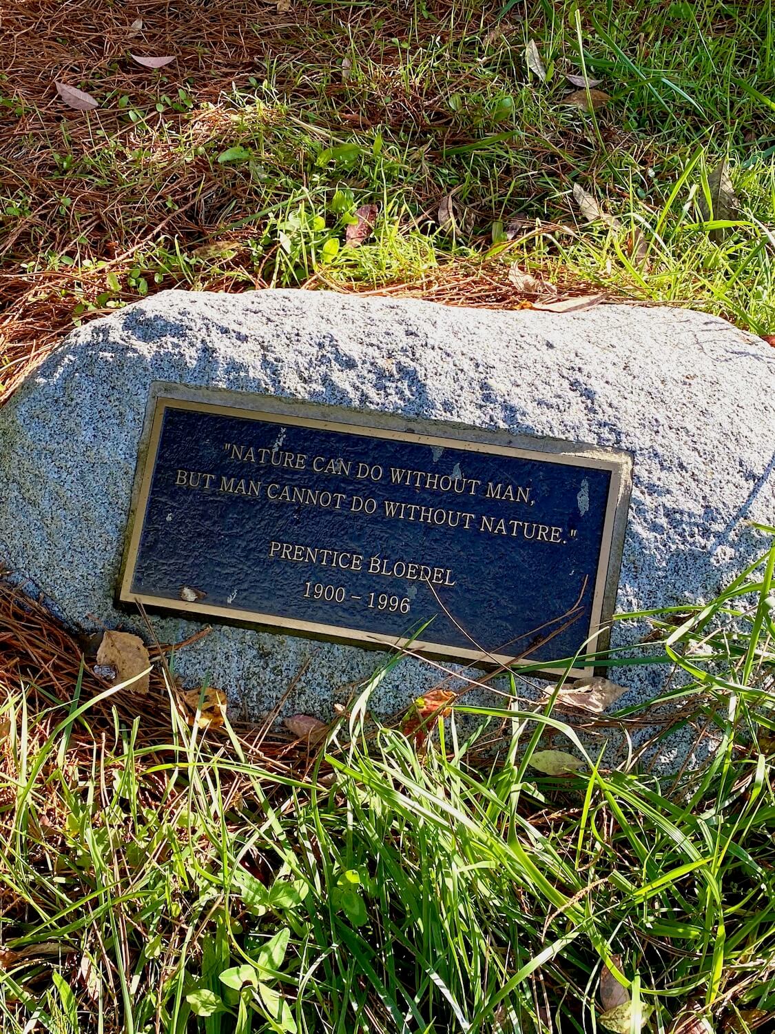 A rock with a black placard with bronze trim and writing says, "Nature can do without man, but man cannot do without nature." This is a memorialized quote from the former owner Prentice Bloedel. This placard is attached to a large stone that sits amongst green grass and pine needles at the beginning of a trail at Bloedel Reserve on Bainbridge Island.
