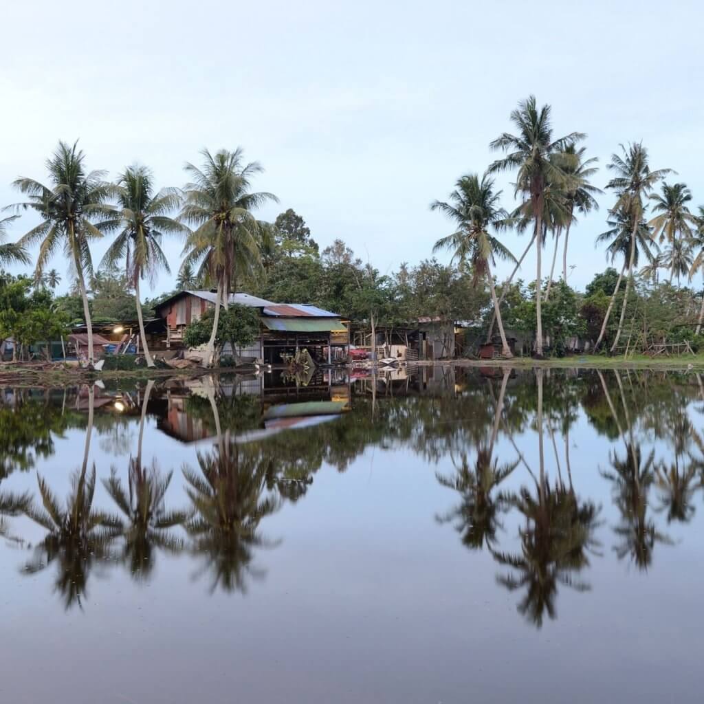 This photo shows a traditional Kampung village in Malaysia. A housing unit with an out building houses chickens and livestock sits peacefully next to a calm body of water that seems like a lake or irrigation pool. The numerous individual palm trees hover over the home and reflect on the water under a clear blue sky.