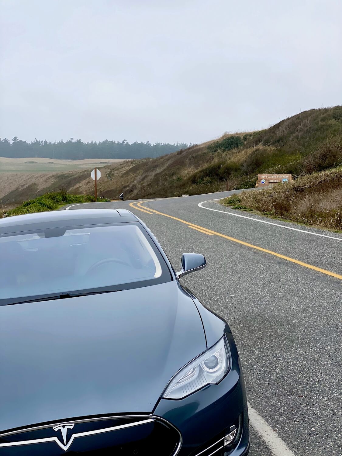 A gray colored Tesla S series sits parked on the side of a winding coastal road in the Puget Sound of Washington State.  There are rolling hills with green sea grass and fir trees in the background.