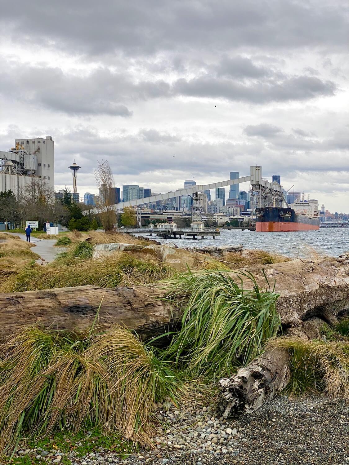 Elliott Bay Trail is a great outdoor winter thing to do in Seattle because there is so much to see. The space needle rises in the skyline of Seattle while a grain elevator pushes grain to a ship in the harbor. In the foreground a person walks on a concrete path that is surrounded by tall shoreline grasses, large rocks and a fallen tree.